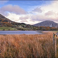 Buy canvas prints of "Loweswater towards Darling Fell" by ROS RIDLEY