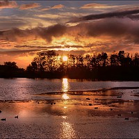 Buy canvas prints of "Autumn sunset at the lake" by ROS RIDLEY