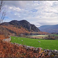 Buy canvas prints of "Ennerdale Valley" by ROS RIDLEY