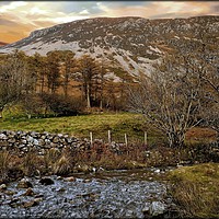 Buy canvas prints of "Autumn at Ennerdale" by ROS RIDLEY