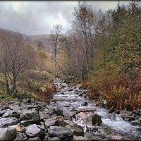 Buy canvas prints of "Autumn mists in Thirlmere" by ROS RIDLEY