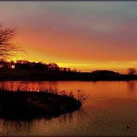 Buy canvas prints of "Cloudy sunset at the park lake" by ROS RIDLEY