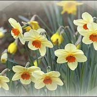 Buy canvas prints of "Springtime" by ROS RIDLEY