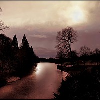 Buy canvas prints of "Misty evening silhouette at Wynyard " by ROS RIDLEY
