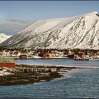 Buy canvas prints of "Risoyhamn Norway" by ROS RIDLEY