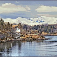Buy canvas prints of "Spring arrives in Norway" by ROS RIDLEY