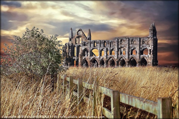 "breezy sunset at Whitby Abbey" Framed Print by ROS RIDLEY