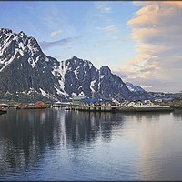Buy canvas prints of "Svolvaer Norway" by ROS RIDLEY