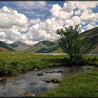 Buy canvas prints of "Tree by the stream Wastwater" by ROS RIDLEY