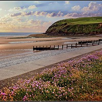 Buy canvas prints of "Evening Light at St.Bees" by ROS RIDLEY