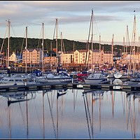 Buy canvas prints of "Evening light reflections at Whitehaven marina" by ROS RIDLEY