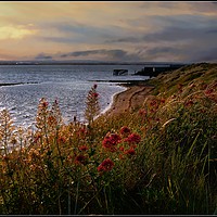 Buy canvas prints of "Breezy sunset at South Gare" by ROS RIDLEY
