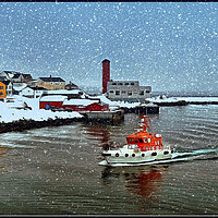 Buy canvas prints of "Rescue in the snow" by ROS RIDLEY