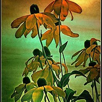 Buy canvas prints of "Gold on Gold" by ROS RIDLEY