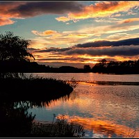 Buy canvas prints of "Autumn sunset across the park lake" by ROS RIDLEY