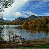 Buy canvas prints of "Autumn morning across Derwentwater" by ROS RIDLEY