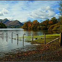 Buy canvas prints of "Autumn at Derwentwater 2" by ROS RIDLEY