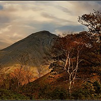 Buy canvas prints of "Autumn trees and Great Gable" by ROS RIDLEY