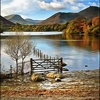 Buy canvas prints of "Derwentwater Gate" by ROS RIDLEY