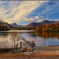 Buy canvas prints of "Panorama Derwentwater Lake" by ROS RIDLEY