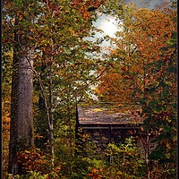 Buy canvas prints of "Little hut in the Autumn wood" by ROS RIDLEY