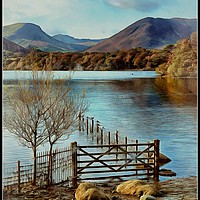 Buy canvas prints of "Digital Derwentwater" by ROS RIDLEY
