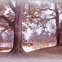 Buy canvas prints of "Trees by a misty Autumn lake " by ROS RIDLEY