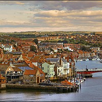 Buy canvas prints of "Looking down on Whitby" by ROS RIDLEY