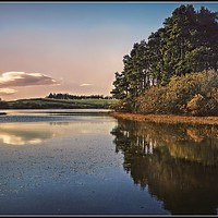 Buy canvas prints of "Evening reflections at Lindean Loch Nature reserv by ROS RIDLEY