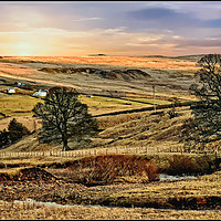 Buy canvas prints of "Evening across Weardale" by ROS RIDLEY