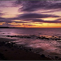 Buy canvas prints of "Golden sunset at Maryport" by ROS RIDLEY