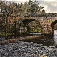 Buy canvas prints of "Blanchland Bridge 2" by ROS RIDLEY