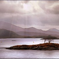 Buy canvas prints of "Misty Mauve Norway " by ROS RIDLEY