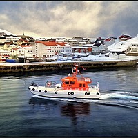 Buy canvas prints of "On Patrol in Honningsvag Harbour" by ROS RIDLEY