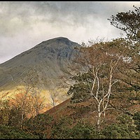 Buy canvas prints of " Autumn Trees at Great Gable 3" by ROS RIDLEY