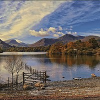 Buy canvas prints of "Blue reflections Derwentwater" by ROS RIDLEY