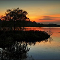 Buy canvas prints of "Sundown at the lake" by ROS RIDLEY