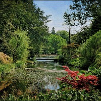 Buy canvas prints of "Thorp Perrow in bloom" by ROS RIDLEY