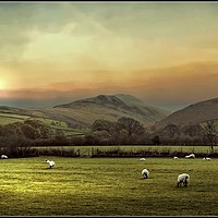 Buy canvas prints of " Hazy  morning across the Loweswater  Fells " by ROS RIDLEY