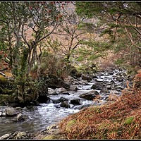 Buy canvas prints of "Autumn stream Wasdale" by ROS RIDLEY