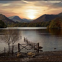 Buy canvas prints of "Evening light at Derwentwater" by ROS RIDLEY