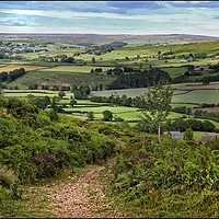 Buy canvas prints of "Path to Freedom" by ROS RIDLEY