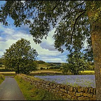 Buy canvas prints of "Country lane in Kildale" by ROS RIDLEY