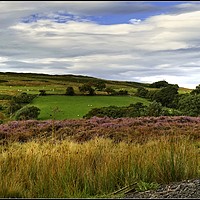 Buy canvas prints of "Blue skies over Commondale Common " by ROS RIDLEY