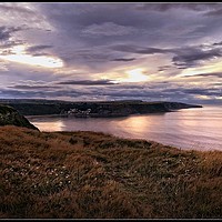 Buy canvas prints of "Pink glow across Runswick" by ROS RIDLEY