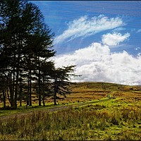 Buy canvas prints of "Breezy day at the moors" by ROS RIDLEY
