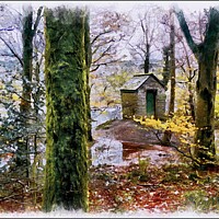 Buy canvas prints of "Little hut in the wood" by ROS RIDLEY