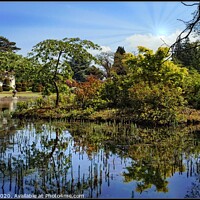 Buy canvas prints of Reflections at Thorp Perrow lake by ROS RIDLEY
