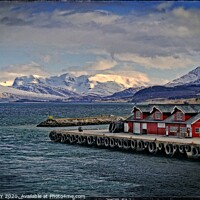 Buy canvas prints of  Port of Nesna Norway by ROS RIDLEY