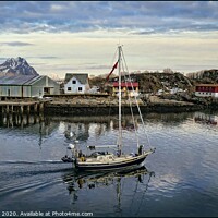 Buy canvas prints of Sailing in Svolvaer Norway by ROS RIDLEY